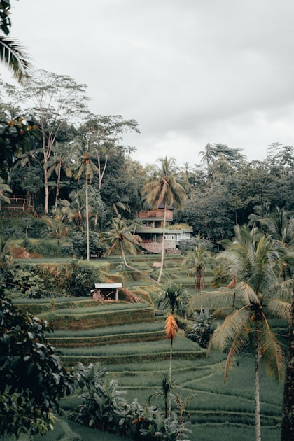 Regenerative Farming Techniques for Thai Farmers