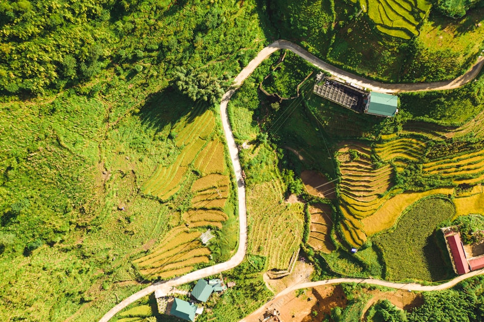 Getting Certified in Permaculture Design